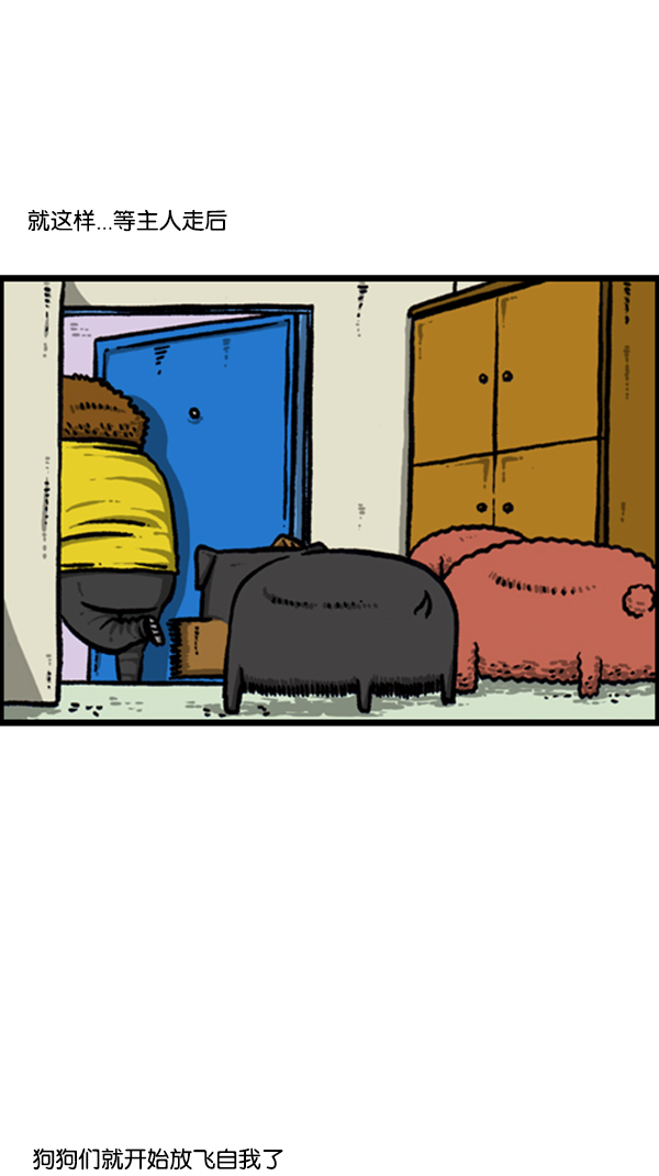 牵动我心灵的声音漫画,[第251话] 小狗当家3图