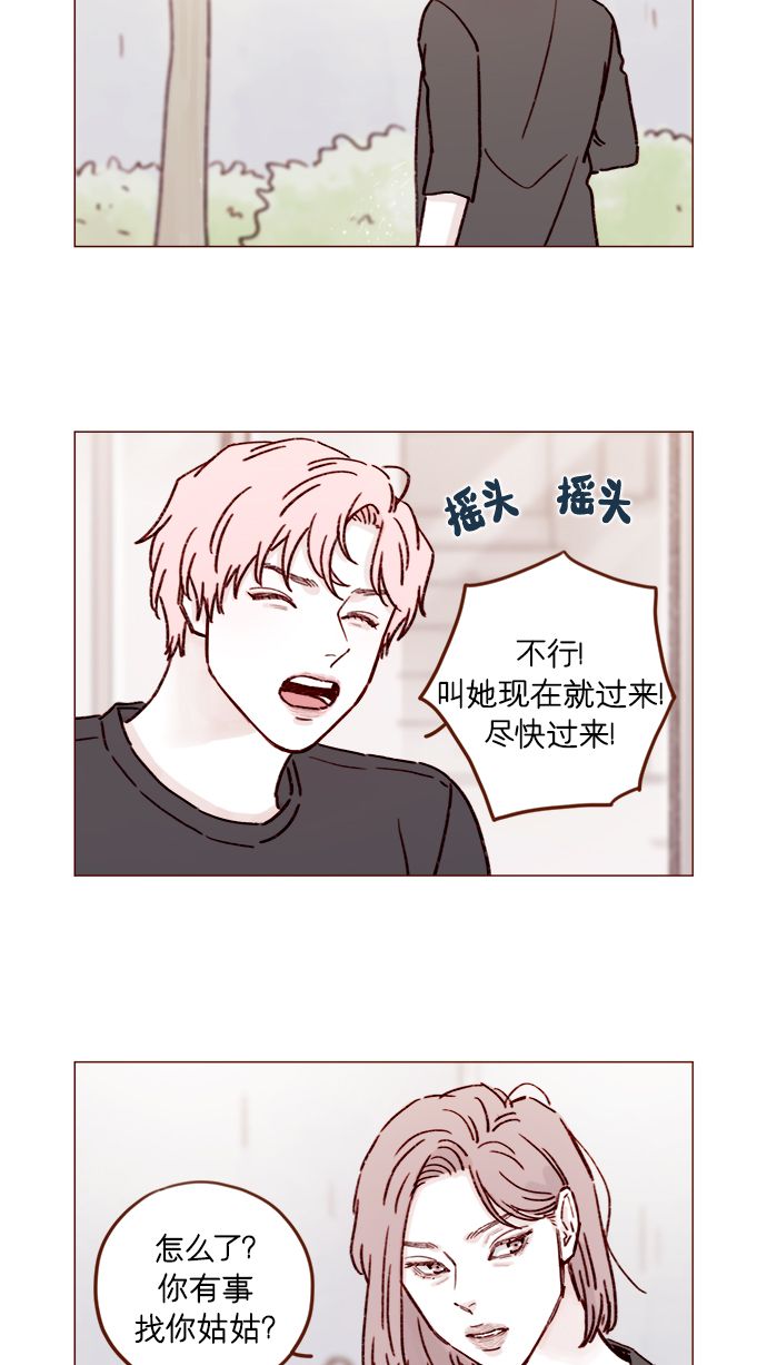 喜欢我的小柿子免费观看漫画,[第193话] 连说谎都不会的小可爱5图