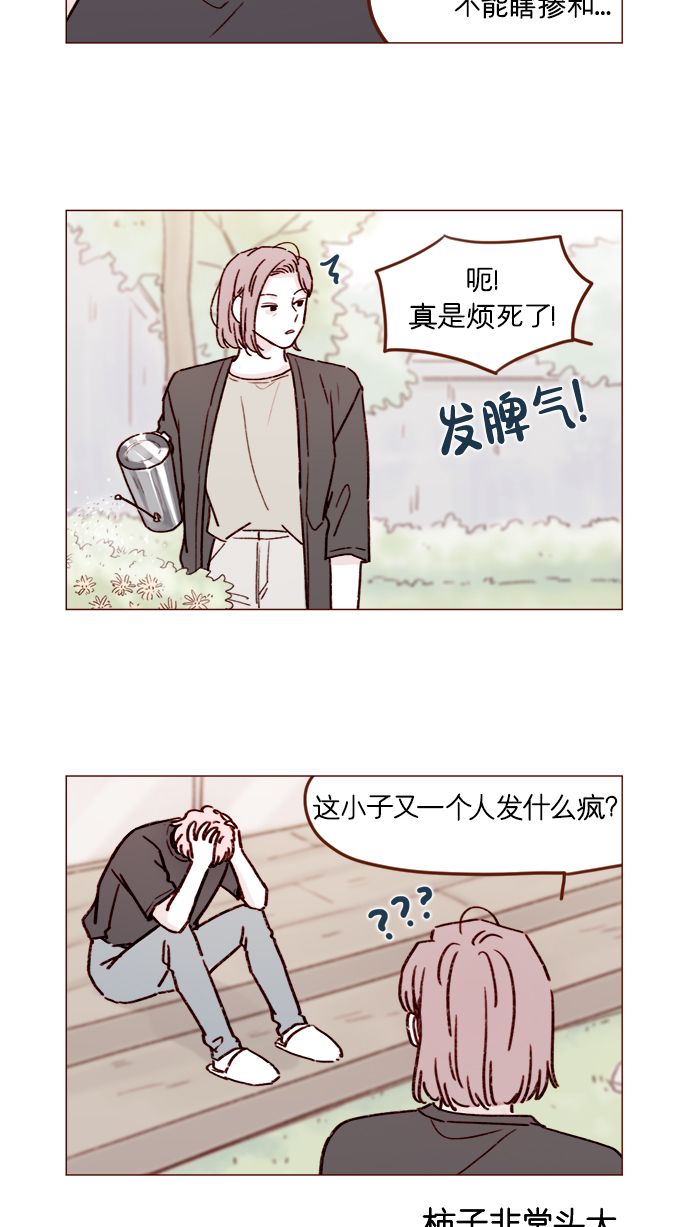 喜欢我的小柿子免费观看漫画,[第193话] 连说谎都不会的小可爱3图
