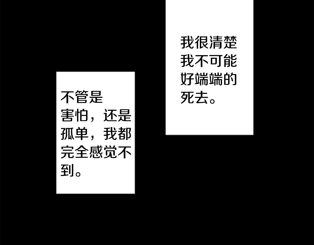 哥哥请你收养喵角色介绍漫画,第166话 hello， Luminous4图